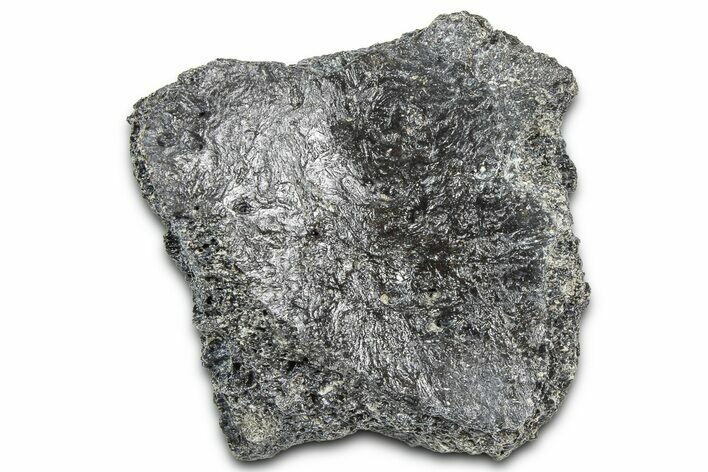 Fossil Glyptodont (Glyptotherium) Bony Armor Osteoderm - Florida #362344